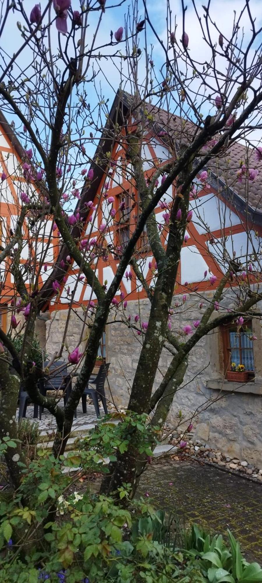 ホルブ・アム・ネッカー Idyllisches Fachwerkhaeusle Mit Terrasse Am Tor Zum Schwarzwaldヴィラ エクステリア 写真
